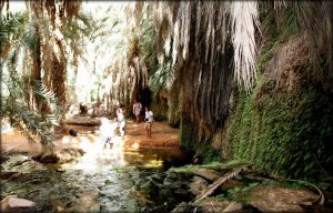 Самые красивые места Мавритании. Короткий видеообзор. Достопримечательности Мавритании. Слайд-Шоу.