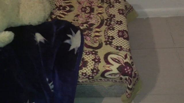 VLOG: После праздничная уборка смотреть онлайн