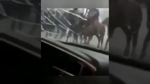 Узбекские приколы