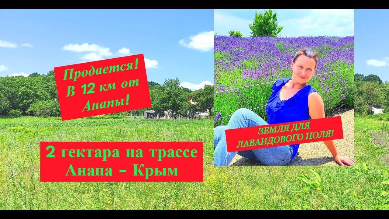 2 гектара земли в 12 км от Анапы/Участок рядом с морем для туристического бизнеса/Недвижимость Анапа