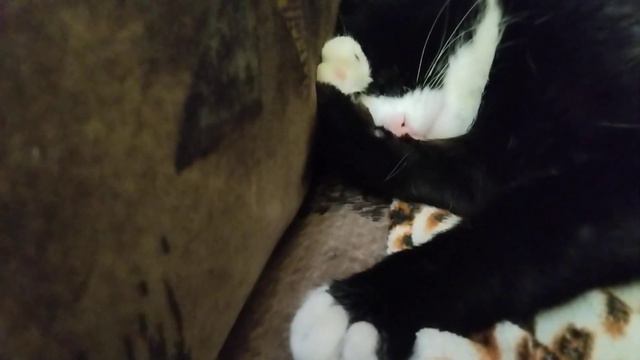 17 января 2024 г. смотреть онлайн