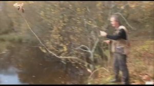 Бретонский эпаньоль  От дрессировки к охоте