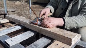 Ура!!! Супер гениальная чистилка для окуня. Теперь ее может сделать каждый.