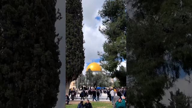 Al Aqsa mosque ❤️