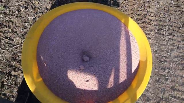 Вносим удобрение для тыквы под осеннюю пахоту. 10.11.2020 смотреть онлайн