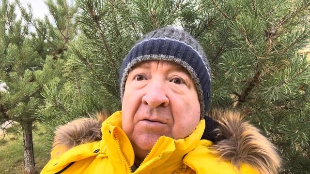 Блинкен в Израиле смотреть онлайн