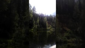 Болотоход гибкий вал