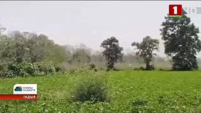 Навіны надвор'я ад першага чэрвеня па сёмае чэрвеня смотреть онлайн