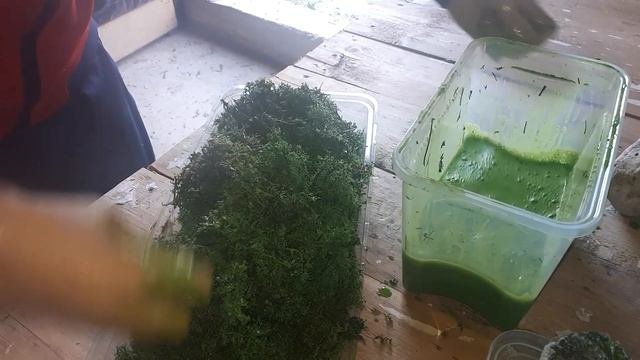 Стабилизация мха вторсырьем. часть 2. Итог
