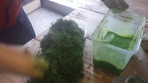 Стабилизация мха вторсырьем. часть 2. Итог