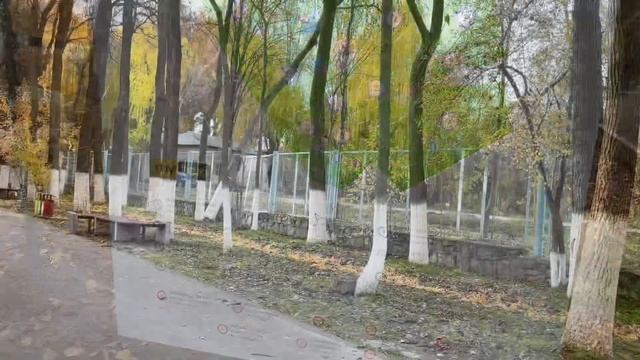 Ботанический ? сад в Ташкенте. смотреть онлайн