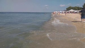 Нашествие медуз в Азовском море, купаться невозможно. 2 августа 2023.