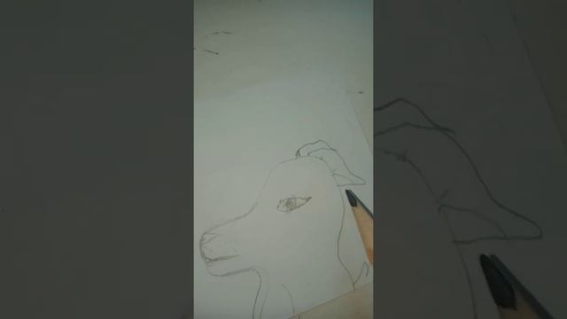 туториал как нарисовать собаку смотреть онлайн