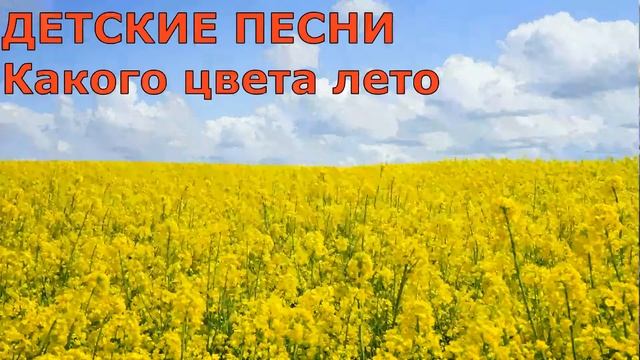 Песня какого цвета лето для детей. Какого цвета лето. Какого цвета лето песня. Песнь лета цвет.