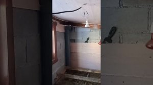 Солнечная панель в курятнике