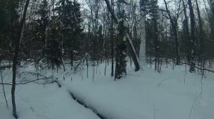 Там, на неведомых дорожках...