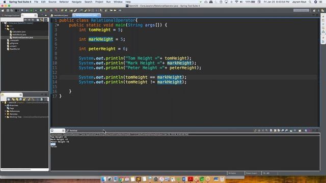 Boolean Data Types In Java | Variable And Data Types | Relational Operators Training By H2K Infosys