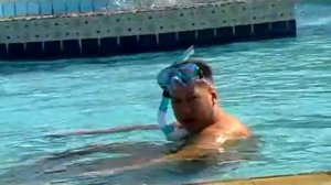 sunny days palma de mirette EGYPT 2010