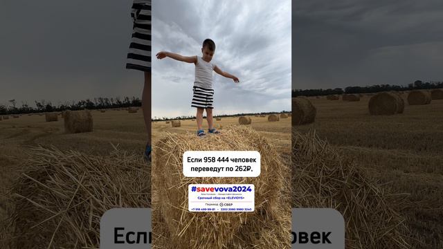 Цепочка помощи для Вовы!