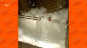 55 ЛЮТЫХ СВИДАНИЙ, КОТОРЫЕ ПОШЛИ НЕ ПО ПЛАНУ!