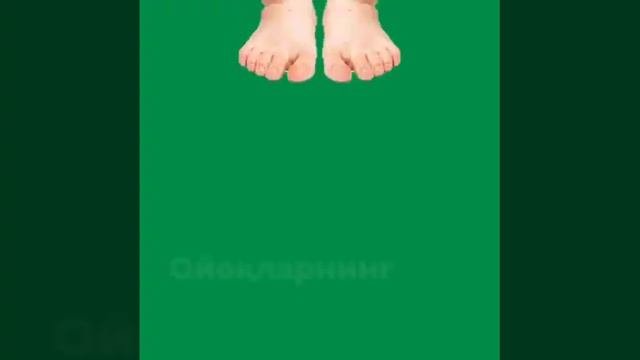 Kinoki Detox Plaster