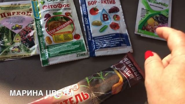 Герань - не спешите готовить к зимовке ! смотреть онлайн