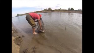 Рыбалка на Митинке осень 2018 1-ый день