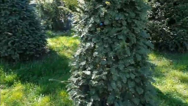 Пасхальный челлендж ОХОТА за ЯЙЦАМИ! EASTER EGGS HUNTER 0+ смотреть онлайн