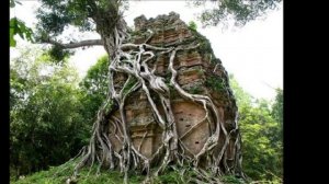 Джунгли. Затерянные города