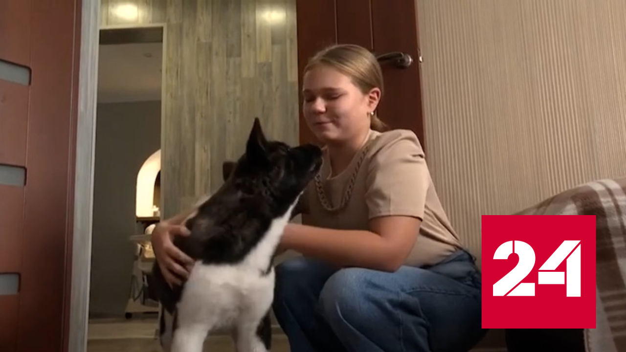 Путин исполнил мечту девочки из Пскова - он подарил ей собаку - Россия 24