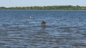 7- Тинаки Астрахань речка