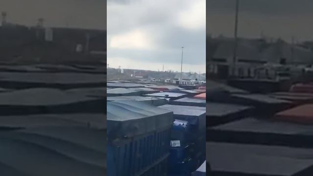 Экспорт Зерна из России. Продажа зерно, пшеница, ячмень, кукуруза, цены, рынок, россия, экспорт.
