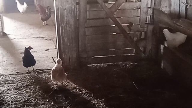 Пообщались . Мой круг общения смотреть онлайн