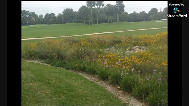 Guest speaker Robin Pelensky with Suraterre Landscape Architecture смотреть онлайн