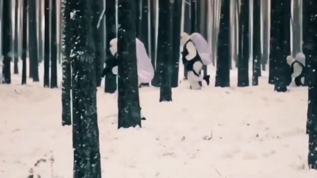 СПЕЦНАЗОВСКИЙ ВАЛЬС (Муз. Валентина Овсянникова, стихи Александра Доронина). смотреть онлайн