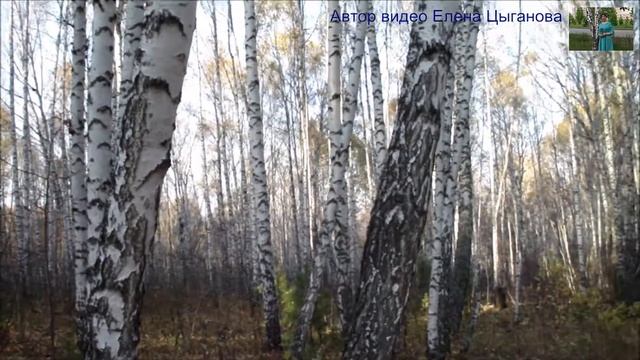 Санаторий "Красноярское Загорье". Прогулка .Автор видео Елена Цыганова  27.09.19г.