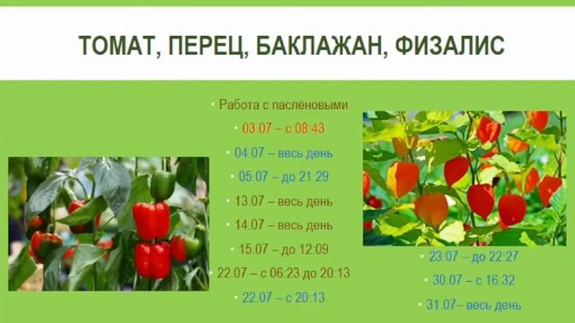 Работы по календарю М Тун в июле - август. Гусар Любовь смотреть онлайн