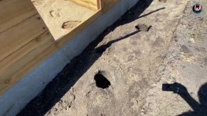 Дренаж в вольерах для фазанов. Содержание фазанов. Drainage in pheasant enclosures.