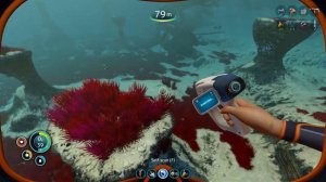 One Long Swim... | Subnautica Randomiser [Ep.2]