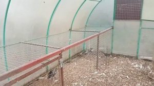 Курятник из старой теплицы. Своими руками.