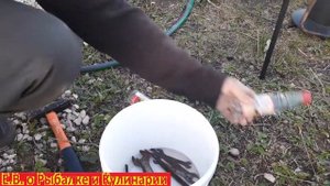 Как легко и недорого удалить ржавчину с инструмента или другого металла,  ДЕДОВСКИЙ СПОСОБ ИЗ СССР.