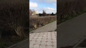 Ответ на частый вопрос: "У вас рядом с домом кладбище?"