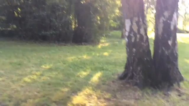 Ботанический сад Москвы смотреть онлайн