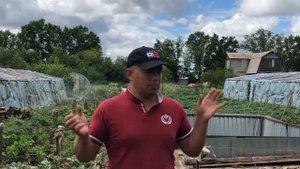 ?Как начать бизнес на теплицах с нуля ?