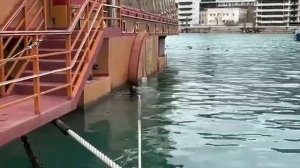 Рыбалка в Севастополе Балаклава 21.02.2023