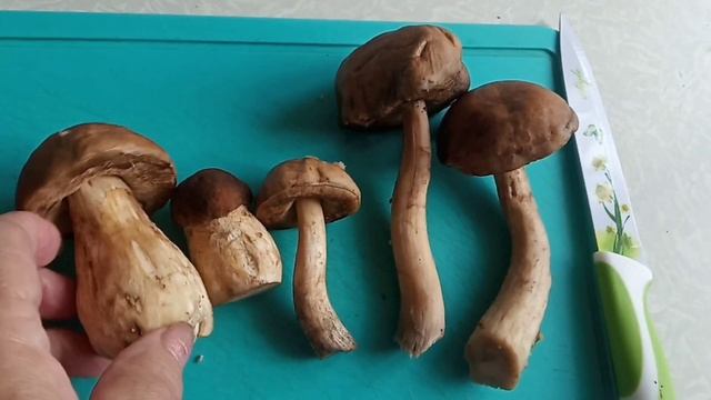 Домашнее копчёное сало,/Сварила суп с грибами ? смотреть онлайн