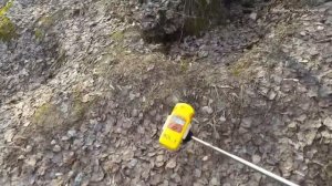 Радиация в Москве, парк Коломенское