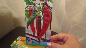 Урожайные высокорослые сортовые перцы.