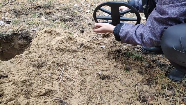 ✅Как собирать осенние грибы. Лесной поход. Ч. 1✅ смотреть онлайн