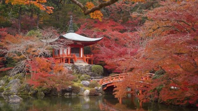 Потрясающе Красивая Эмоциональная Мелодия, уносящая вдаль! Безумно Красивая музыка Сергей Грищук! смотреть онлайн